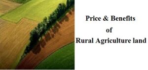 land price in rural agriculture land